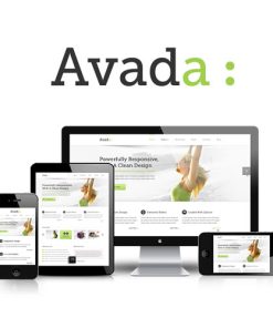 Avada Theme