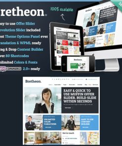 Bretheon WordPress Teması