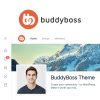BuddyBoss Tema
