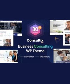 Consultix - İşletme Danışmanlığı WordPress Teması