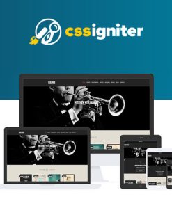 CSS Igniter Berliner WordPress Teması