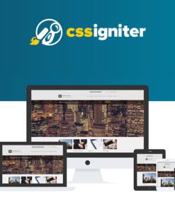 CSS Igniter BusinessTwo WordPress Teması