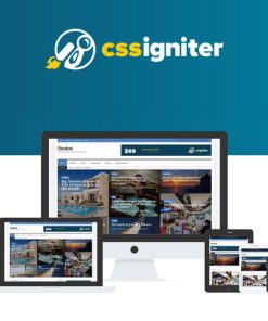 CSS Igniter BusinessTwo WordPress Teması
