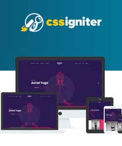 CSS Igniter Vigour WordPress Teması