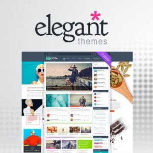 Elegant Themes Extra WordPress Teması