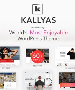 KALLYAS - Yaratıcı e-Ticaret Çok Amaçlı WordPress Teması