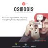 Osmosis - Duyarlı Çok Amaçlı WordPress Teması
