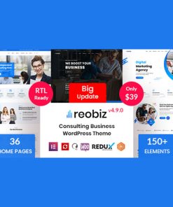 Reobiz - Danışmanlık İşletmesi WordPress Teması