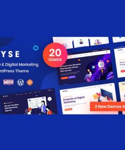 Ryse - SEO & Digital Marketing Theme