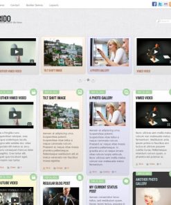 Themify Grido WordPress teması