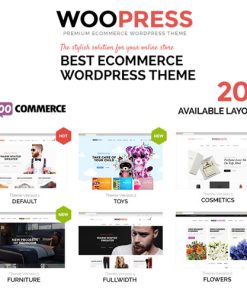 WooPress - Duyarlı E-ticaret WordPress Teması